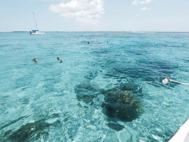 キューバの秘境ビーチ カヨラルゴ島1日体験レポート