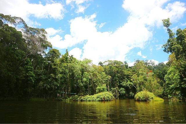 Rainforestation Nature Park