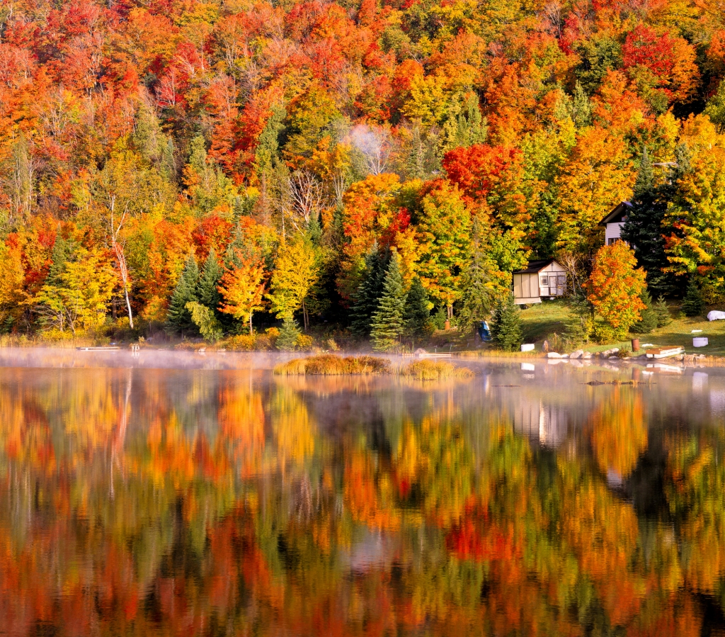 紅葉のカナダ　メープル街道