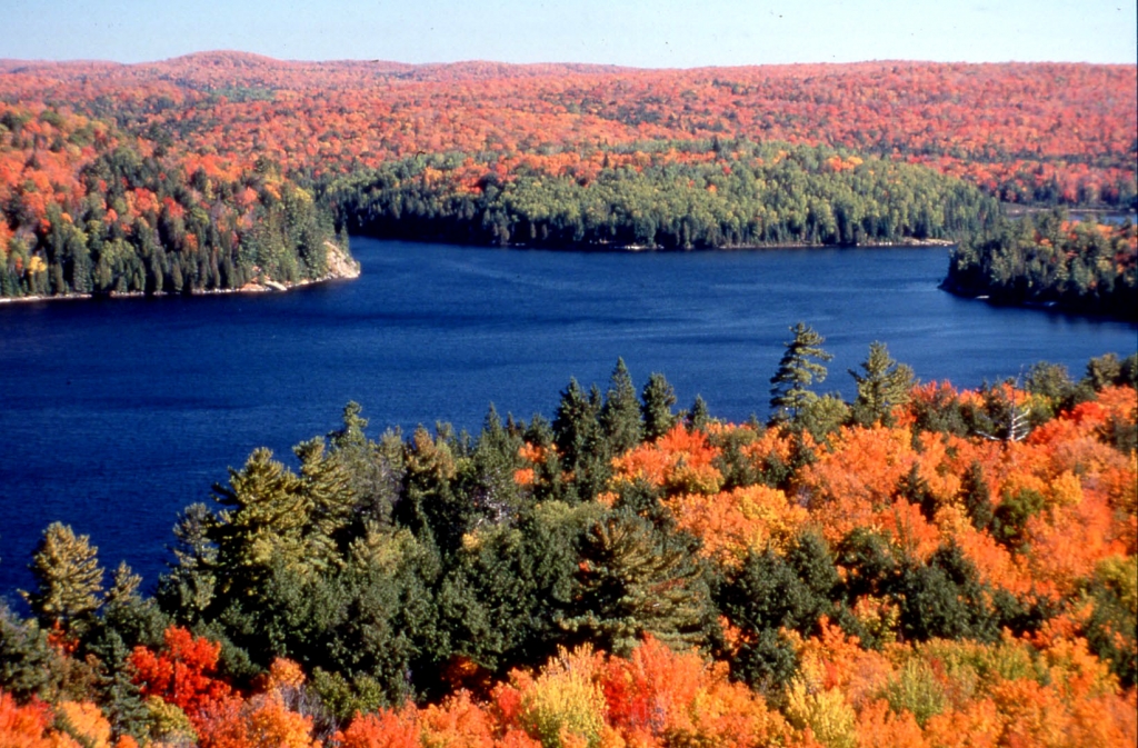 紅葉のカナダ　メープル街道
