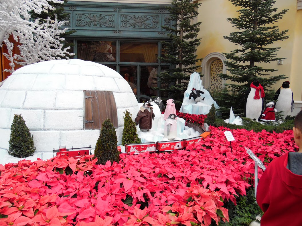 MERRY CHRISTMAS！　in　USA