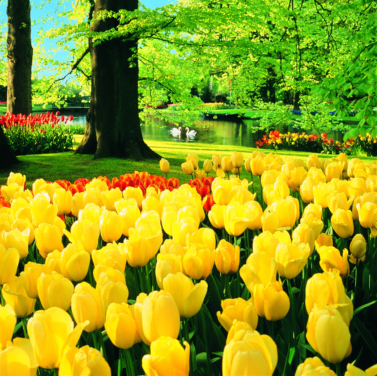 この“春”に行きたい！世界の絶景10選