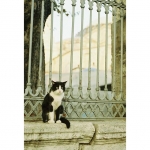 @hisamimi.hana　さん