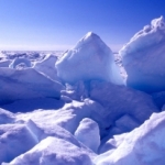 知床の流氷_エコツアー