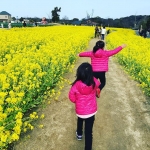 【Instagaramより　hiyoriyuiさん/兵庫・淡路島】 菜の花畑?✨寒いけどキャンプin淡路島。 ひとまずイングランドの丘。 #キャンプ #淡路島 #camping #sisters #かわいい旅