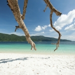 【7位：タイ　タルタオ国立公園】＜白砂のビーチが広がる手付かずのリゾート＞ 1974年にタイで最初の海洋国立公園として指定された、大小あわせて51の島々からなるタルタオ国立公園は、マレーシアの国境から4.8kmのアンダマン海に位置します。広さは1,490平方kmあり、主にタルタオ諸島（Tarutao）とアダン・ラウィ諸島（Mu Ko Adang-Rawi）の２つの区域に区分されています。 かつて長期受刑者や政治犯を収容していた時代も長く、そのためもあってか今なお美しい自然が手付かずに残っています。 アクセス：日本からタイ・バンコクまで約7時間半。バンコクから国内線でハートヤイ空港まで約1時間半。そこから車で約２時間でパークバラーへ。船に乗り換え約30分。