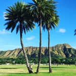 【__mamiori__9210 さん】 カピオラニ公園でも #いますよシリーズ * * #母と娘 #タビジョ #最終日 #カピオラニ公園 #20151118 #ハネムーンについて行っちゃった家族旅行inハワイ