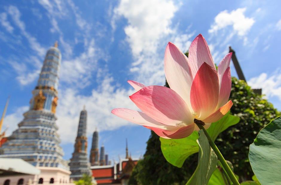 本場で食べたい！バンコクグルメ10選