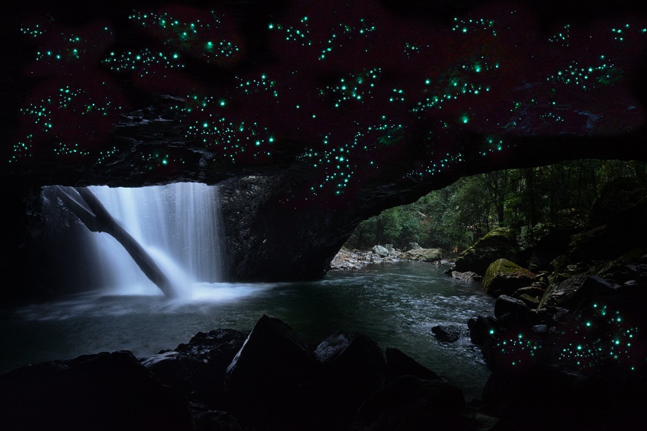 この夏、家族旅行にお勧めゴールドコーストのアクティビティー3選！！