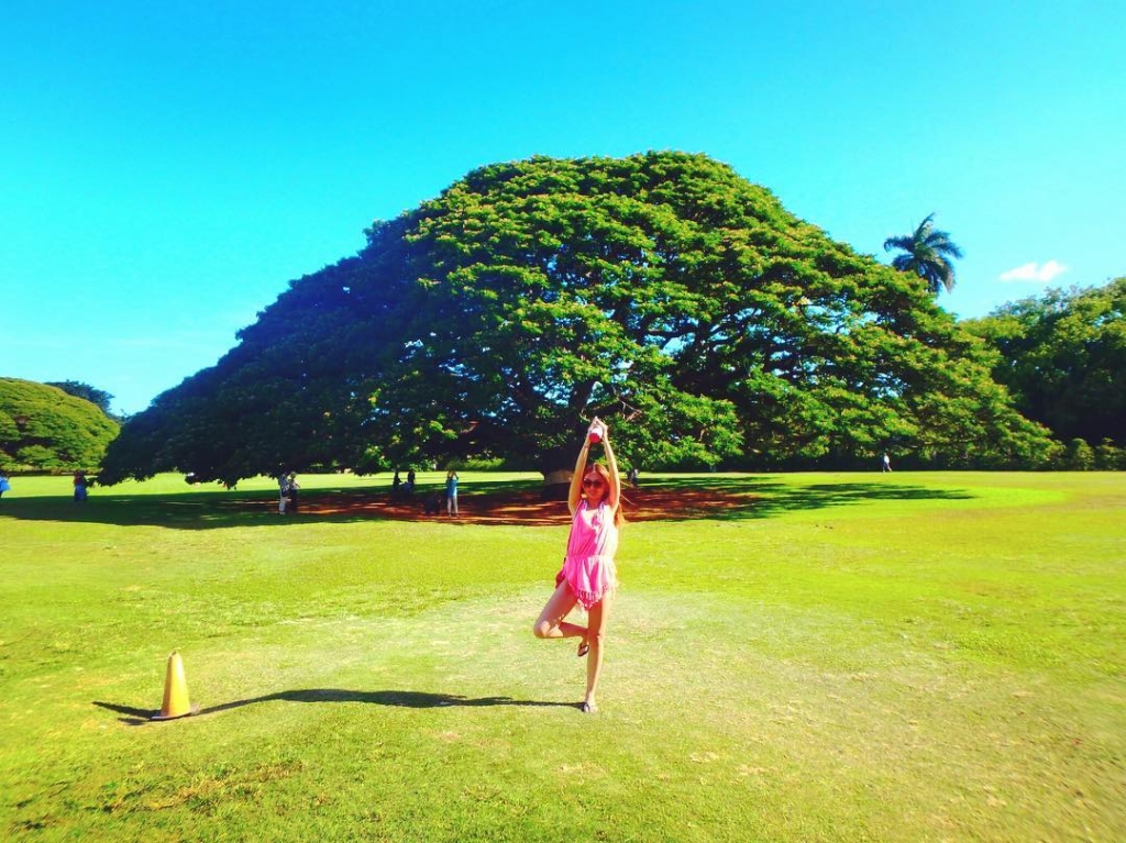 ハワイ・moanaluagardens