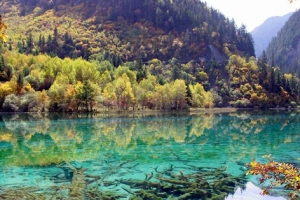 きゅうさいこう