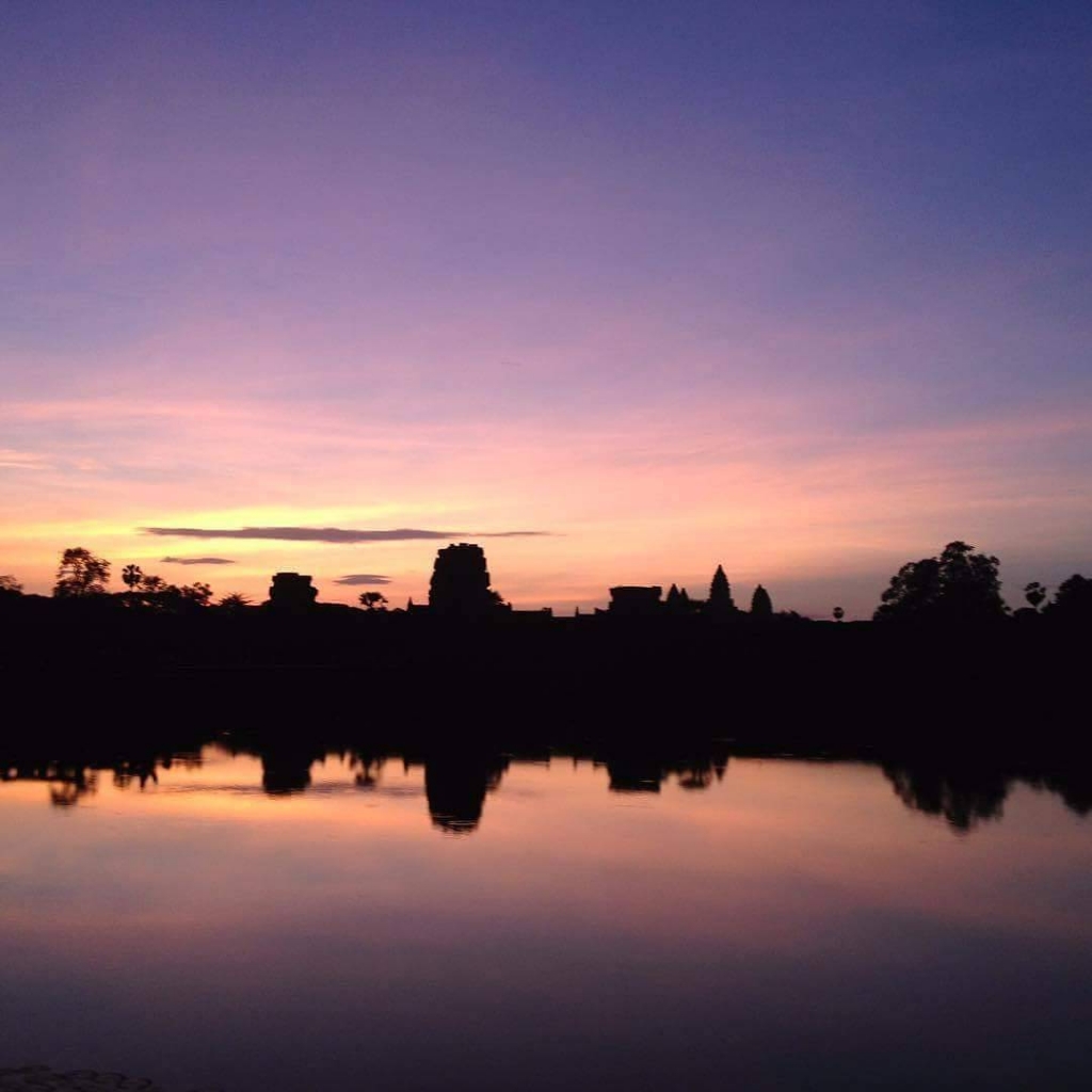 ムラサキカンボジア