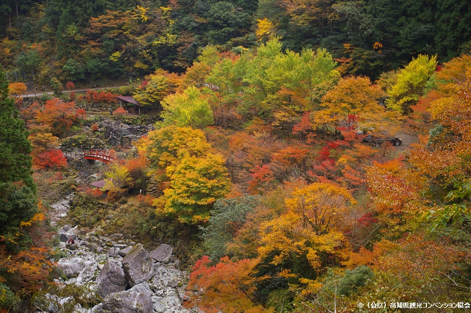 感動絶景！！この秋、絶対行きたい高知県の観光スポット6選
