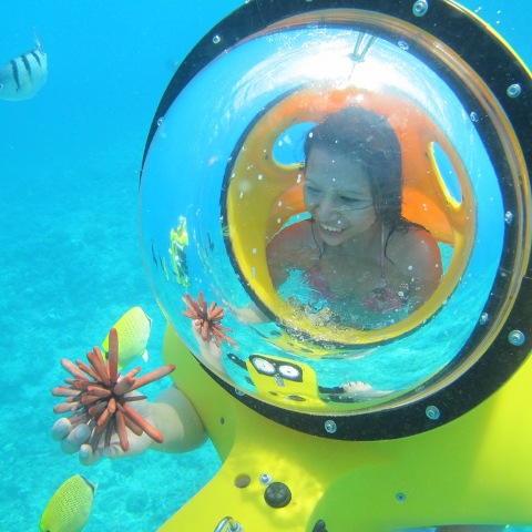 4_Tr00100420130620131533177 (1)