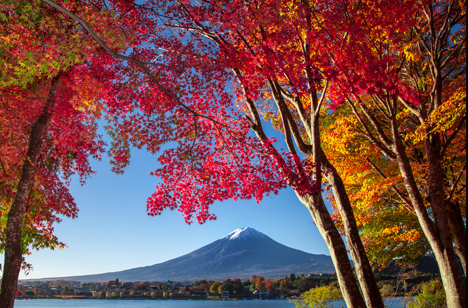 この秋に行きたい！国内の秋の絶景ランキング