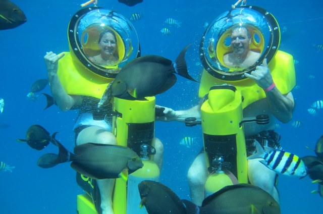 今、テレビで話題のハワイ アクティビティ6選