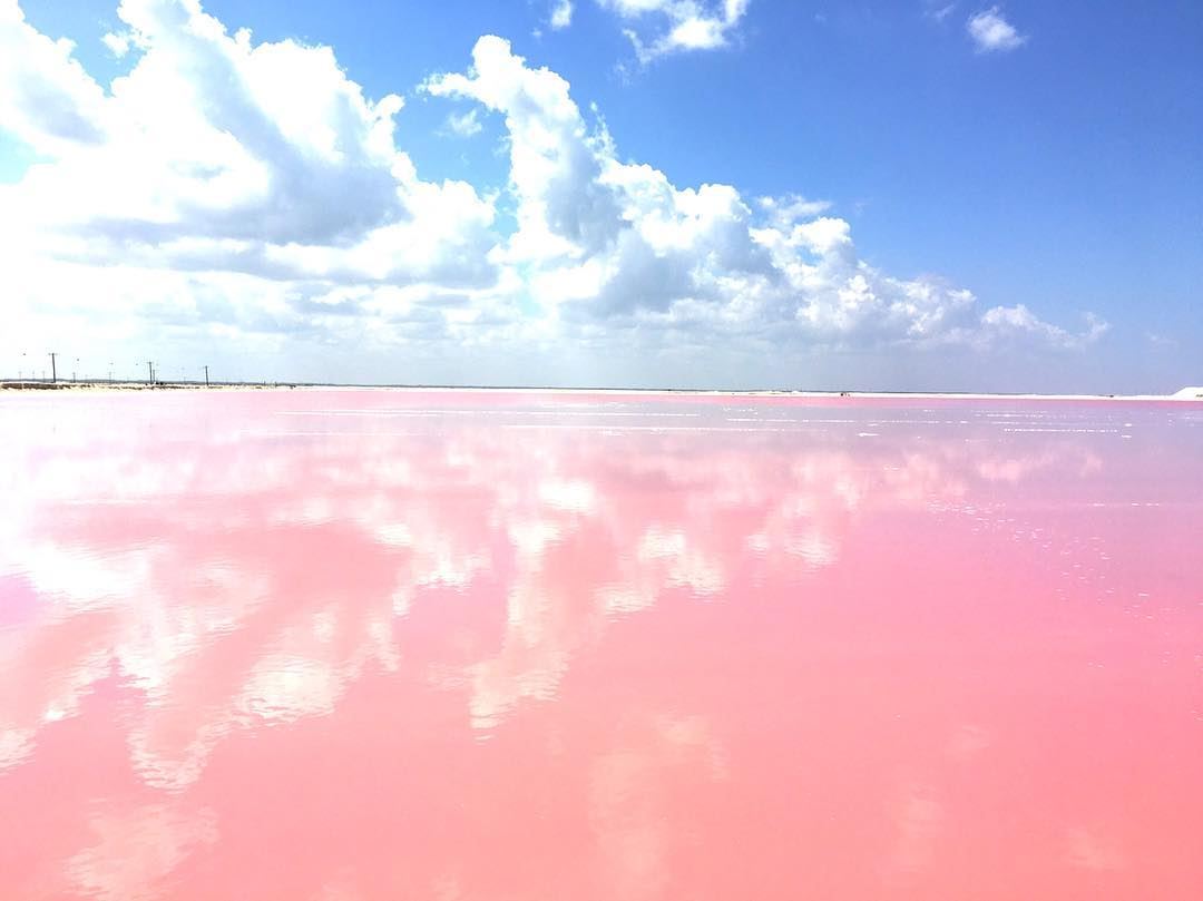 メキシコにあるピンクの絶景！ピンクラグーン
