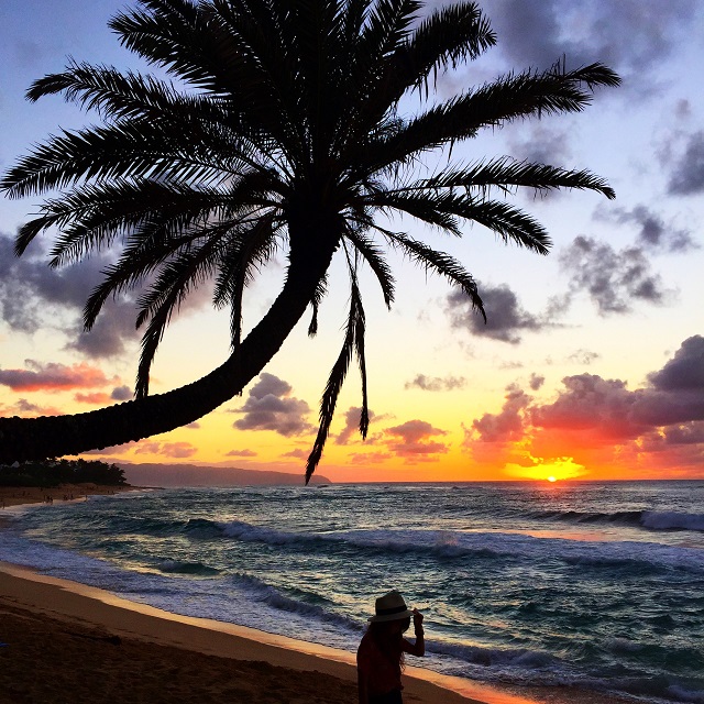 カラフルな旅をするタビジョ厳選！「わたしのハワイの1日～4つのビーチ巡り編」