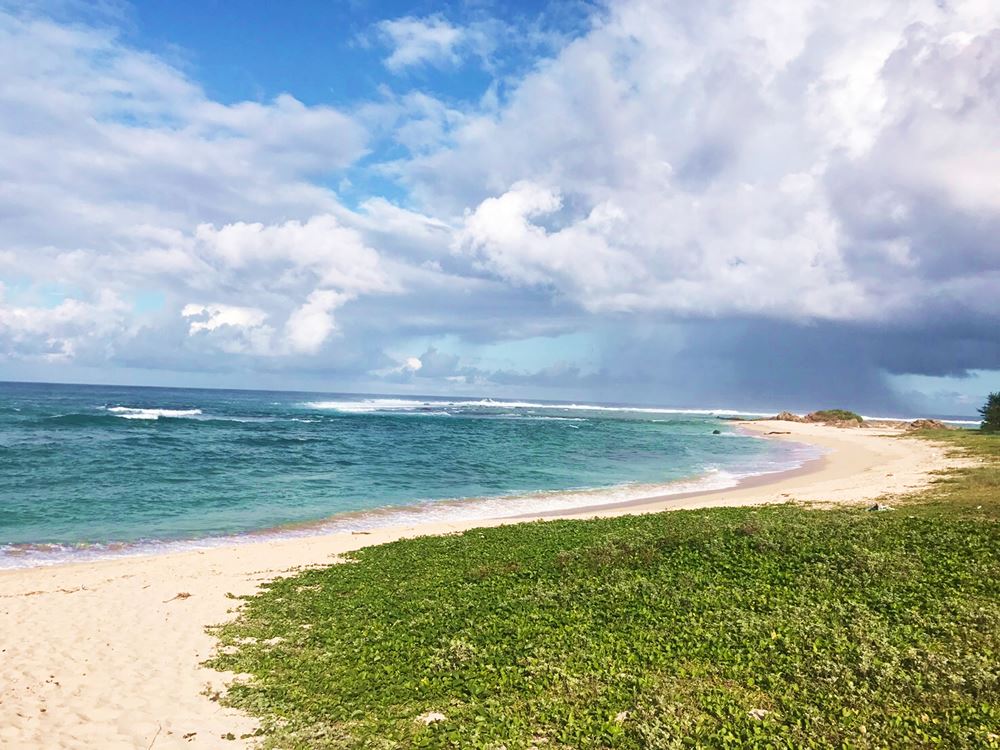 のんびりしたい方にオススメの島！奄美大島で絶対体験したいこと5選