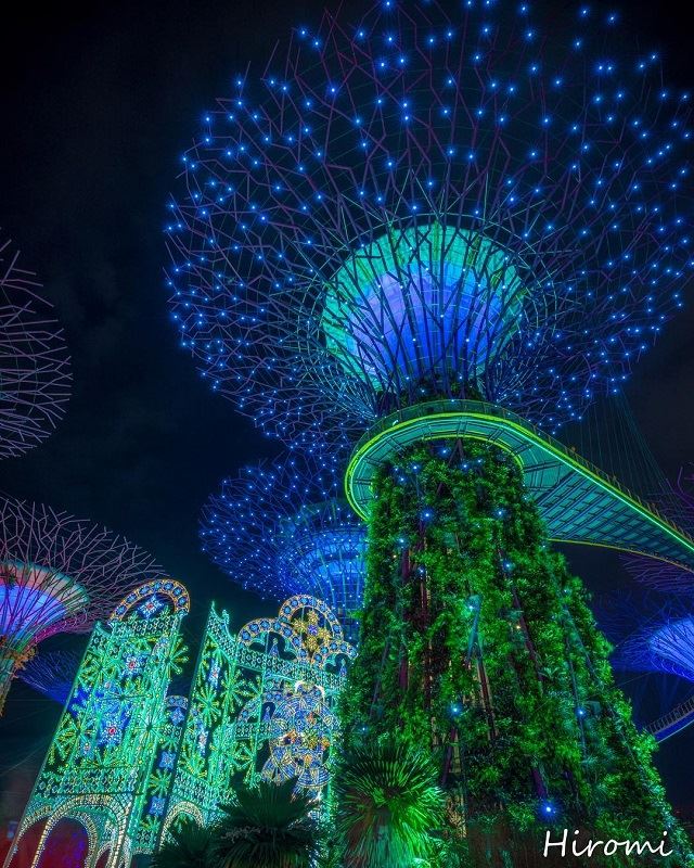 旅好きみんなの2017年12月の海外旅行を公開！12月はみんなどこに行ったの？