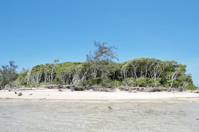 グレートバリアリーフ グリーン島