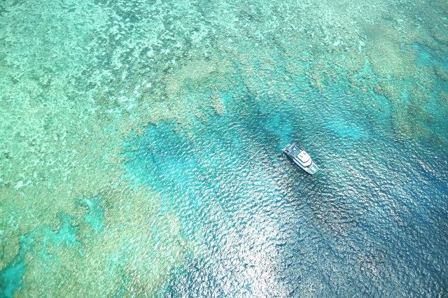 一度は訪れたい世界遺産！グレートバリアリーフを日帰り体験