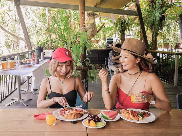 オーストラリア おすすめアクティビティ「Hartley’s Crocodile Adventures」 オーストラリア おすすめアクティビティ「Hartley’s Crocodile Adventures」