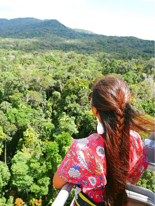 Skyrail Rainforest Cableway