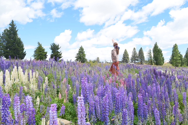 ニュージーランド テカポ湖