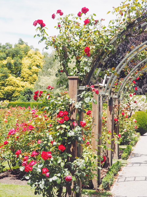 ニュージーランド クライストチャーチ