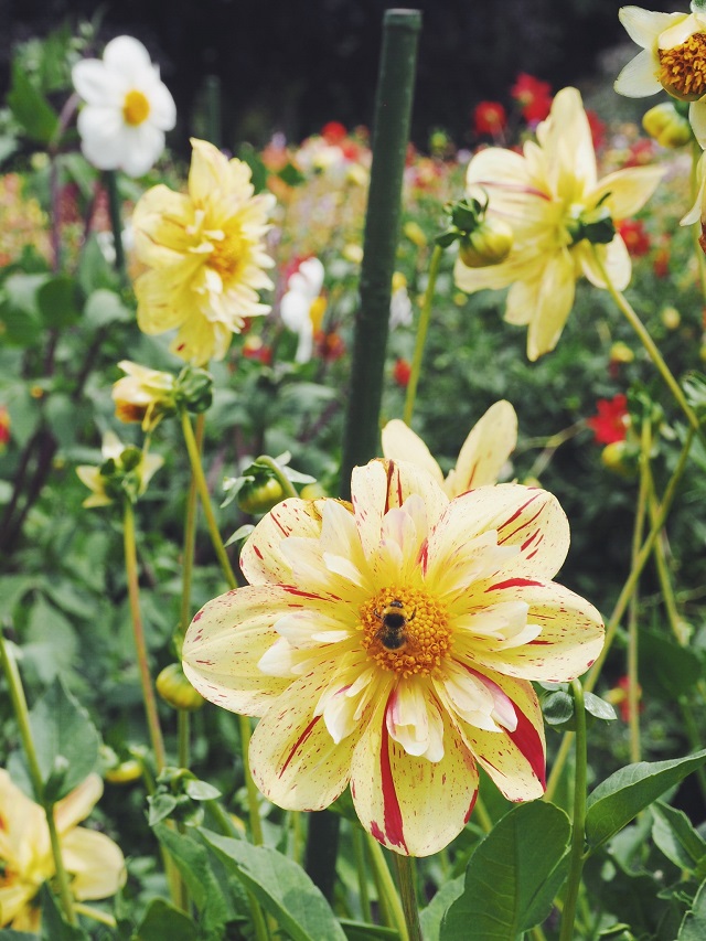 ニュージーランド クライストチャーチ