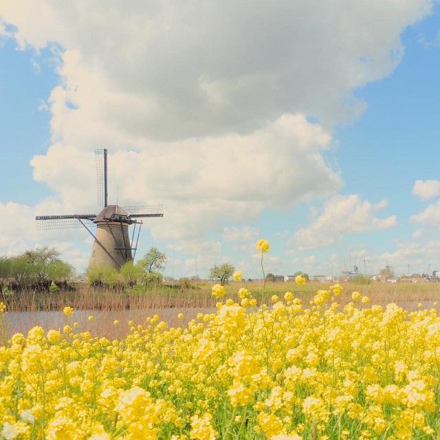 旅好きが選ぶ！行ってよかった黄色の絶景スポット9選！