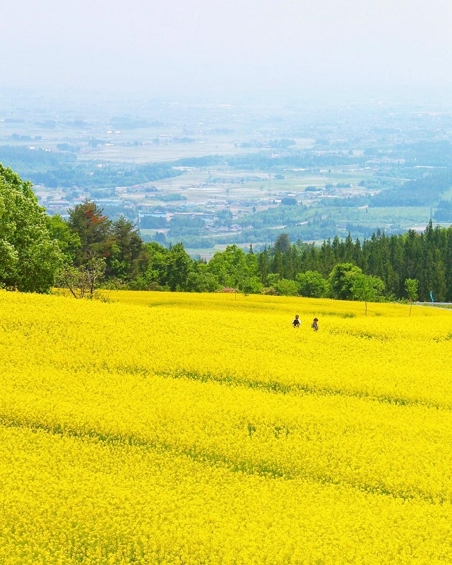 三ノ倉スキー場