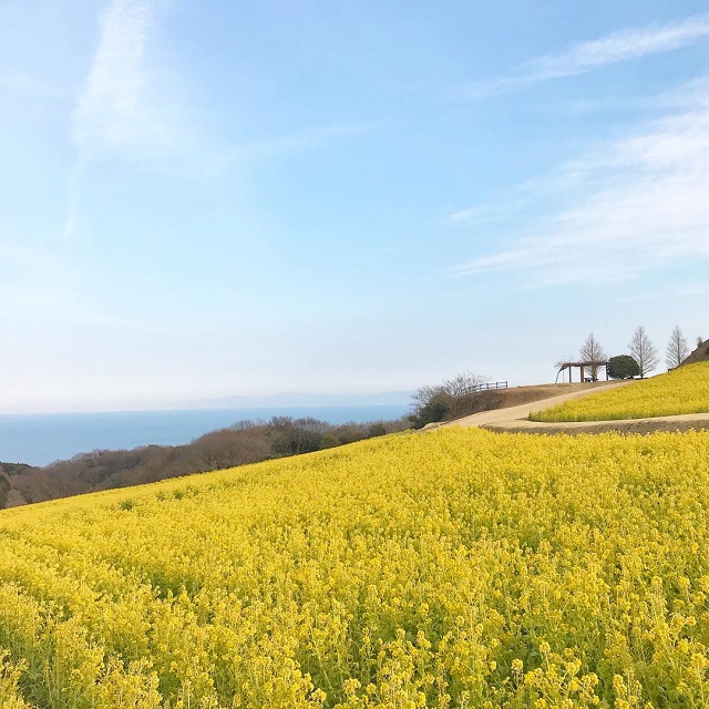 あわじ花さじき