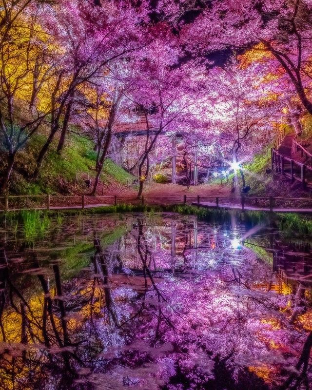 旅好きが選ぶ！リフレクションが美しい絶景スポット9選！