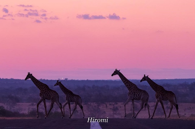 旅好きみんなの2018年6月の海外旅行を大公開！