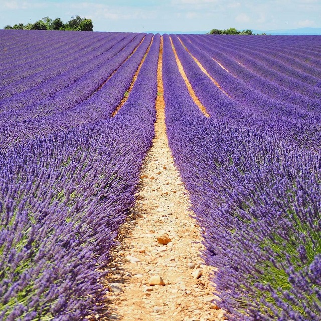 【2018年版】旅好きが選ぶ！行ってよかった紫色の絶景スポット9選！