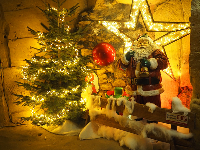 ピンクモスク ピンクモスク