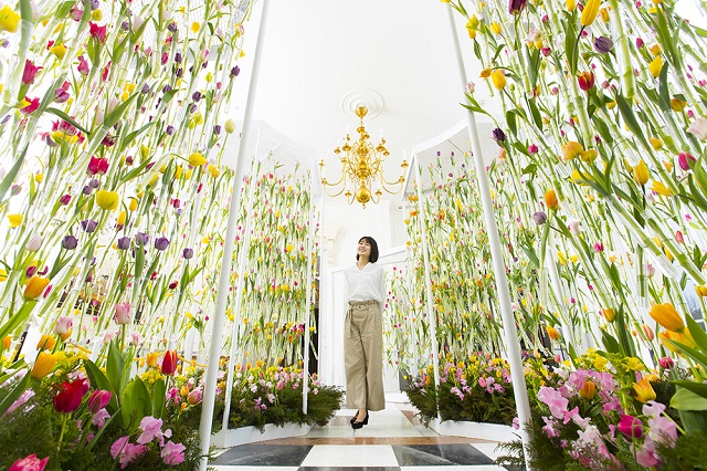 チューリップウォール チューリップウォール