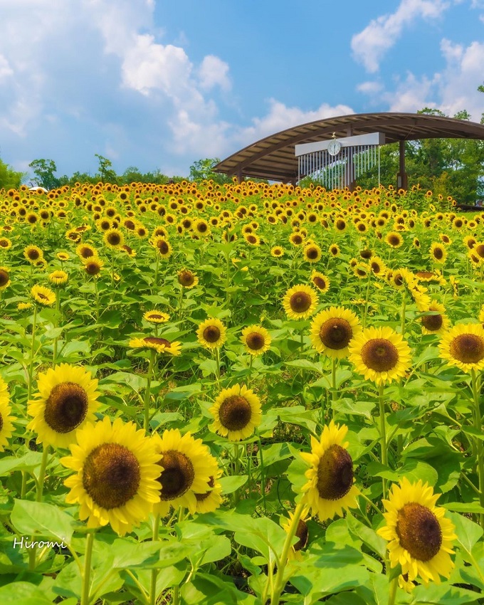 【2019年版】旅好きが選んだ！「行ってよかった♪世界のカラフル絶景スポット9選」