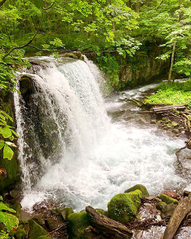 奥入瀬渓流