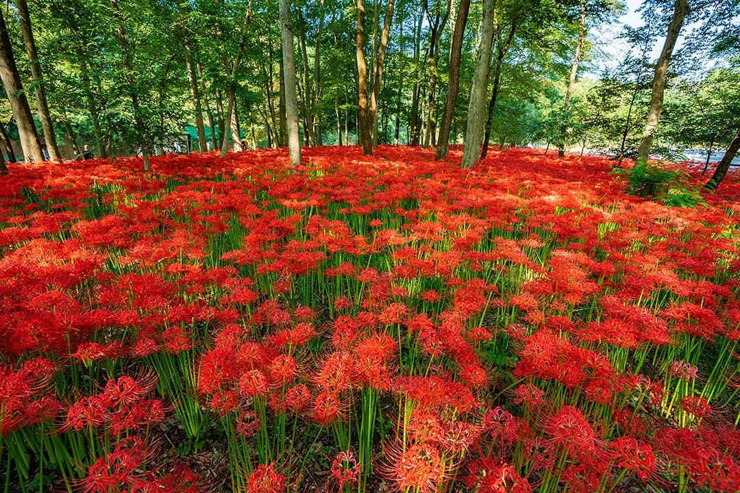 先月みんなどこに行ったの？ 旅好きみんなの9月の国内旅行を公開！