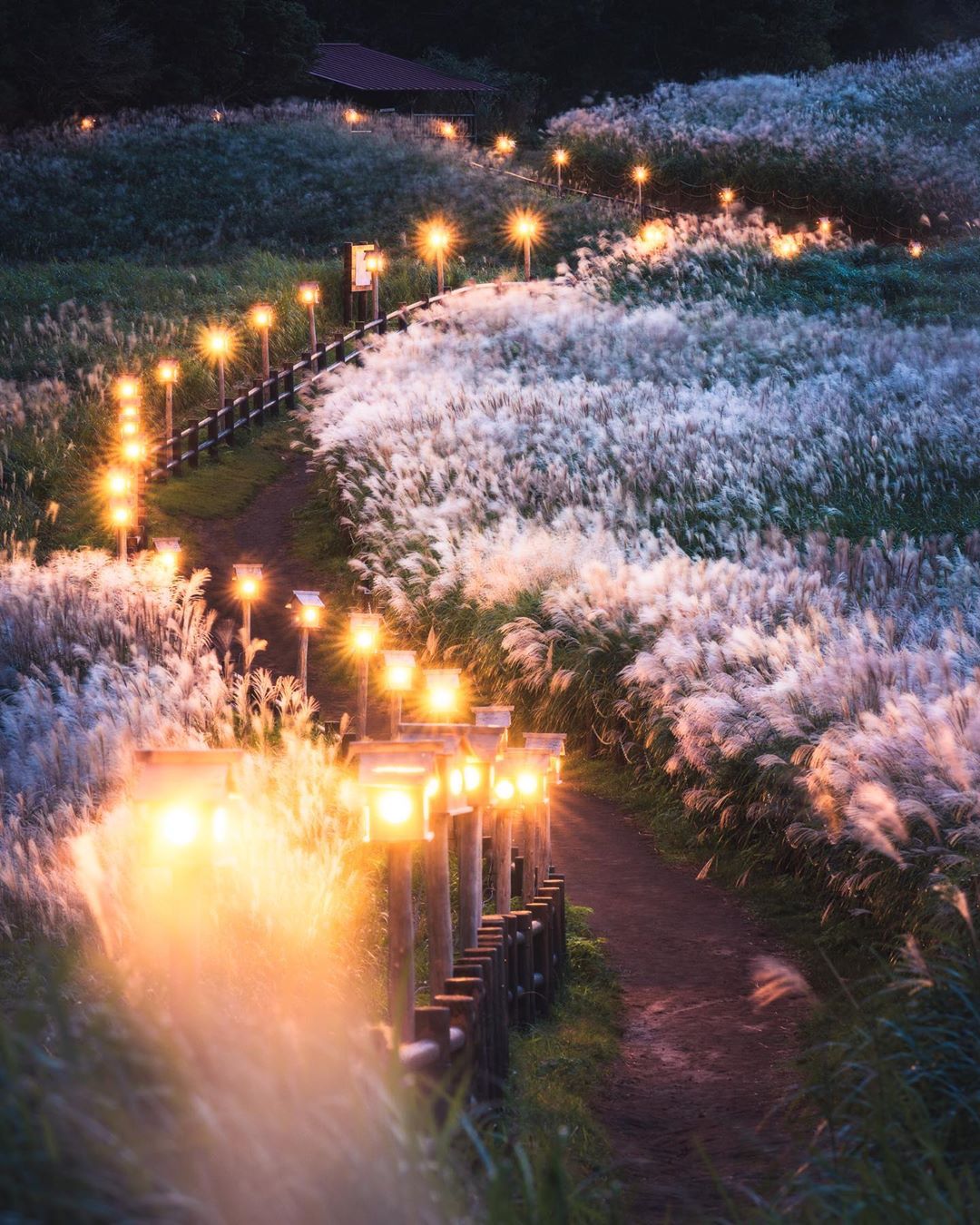 先月みんなどこに行ったの？ 旅好きみんなの10月の国内旅行を公開！