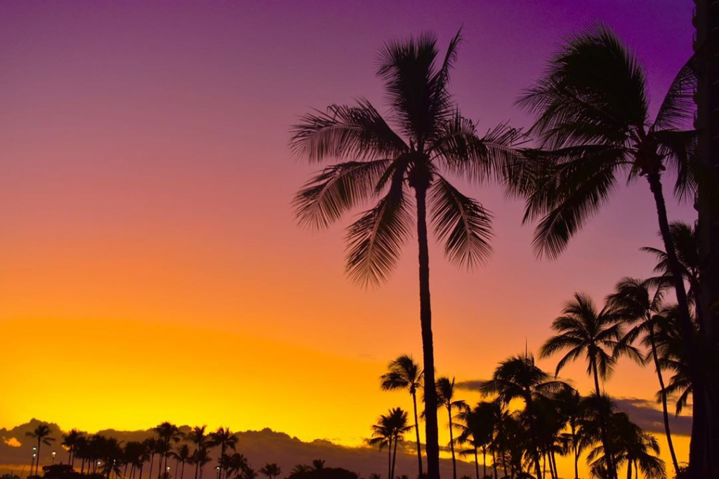 Hilton hawaiianvillage