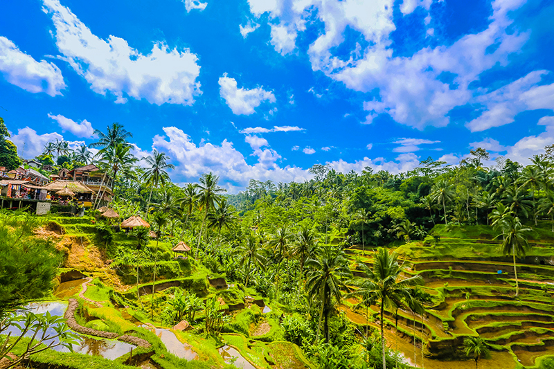 ≪バリ島に行きたい方は必見≫<br>有名観光地から穴場絶景スポットまでご紹介