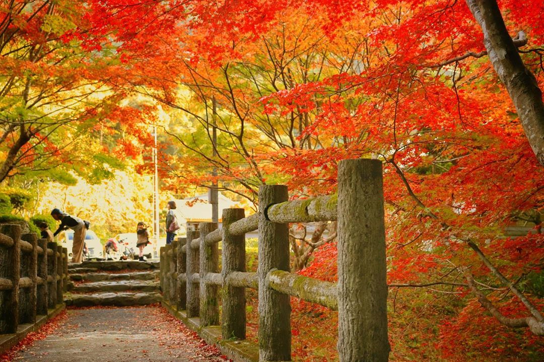 先月みんなどこに行ったの？ 旅好きみんなの11月の国内旅行を公開！