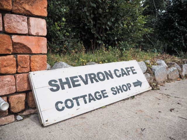 シェブロンカフ