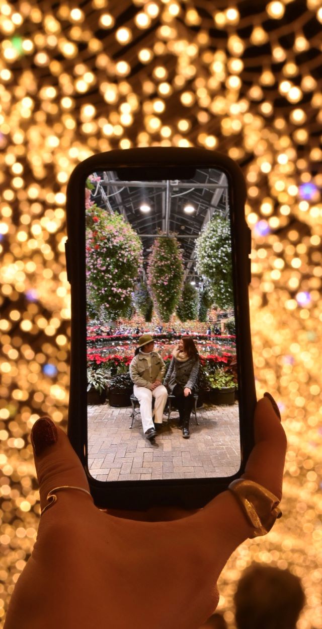冬にぴったり！！国内最大級のイルミネーションと近江牛の鉄板焼きコースで贅沢なバス旅