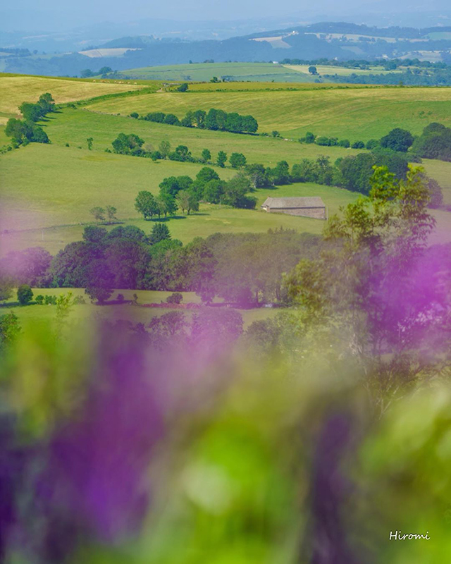 オーベルジュ『BRAS』