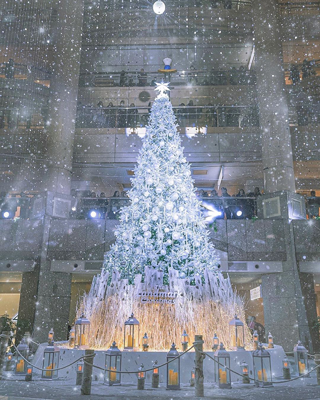 【2019年版】旅好きが選んだ！「絶景ひまわりスポット9選」